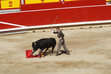 Festival taurino sanfemines, 13 de julio de 2010, Pamplona.