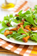 mushroom salad