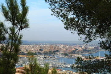 Foto op Plexiglas Bahía y catedral de Palma. Mallorca © zipango2