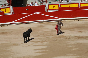 Festival taurino sanfemines, 13 de julio de 2010, Pamplona.