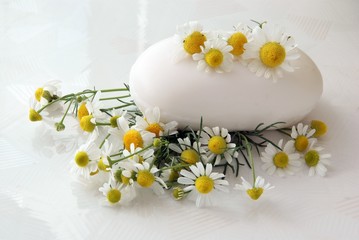 camomile soap