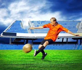  Geluk voetballer na doelpunt op het veld van stadion und © Andrii IURLOV