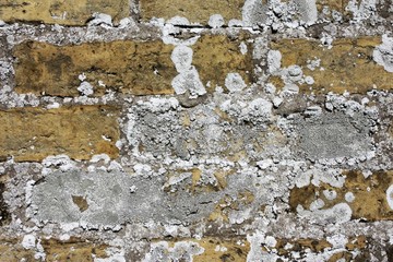 Backsteinwand mit Schimmel