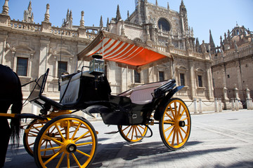 Fototapeta premium Coche de caballos frente a la catedral de Sevilla