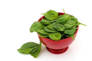 Super Food Spinach