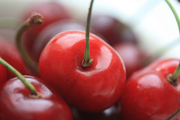 Red cherry close up