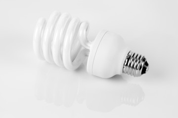 Compact Fluorescent Lightbulb