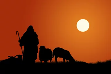 Tuinposter Silhouette Of Shepherd And Sheep © Vibe Images