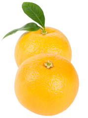 two ripe red grapefruits