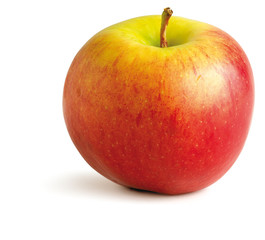 red apple on a white background