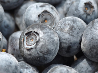 blueberries