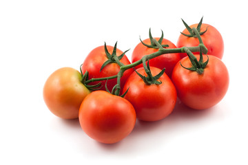 tomatoes