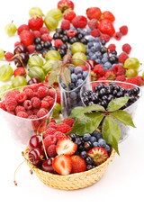 different kinds of berries