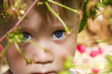 Boy under the tree