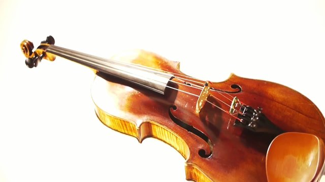 Violin Turning Vertically
