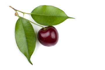 cherry