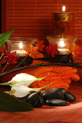 Massage Spathiphyllum und Hot Stones mit Handtüchern