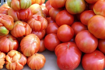 tomatoes in market raff tomato vegetable