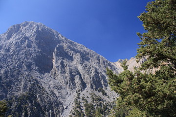 high mountains landscape in summer