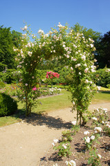 der Rosenbogen