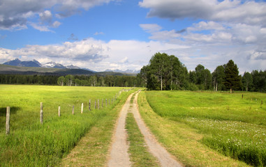 Fototapeta na wymiar Rural road through a meadow in North west Montana