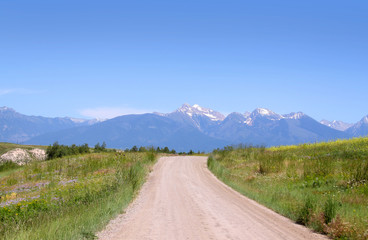 Rural road through a meadow