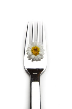 Vegetarier Gabel