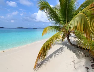 Fototapeten Solomon Beach on St John - US Virgin Islands © Wirepec