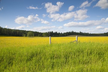 Rural Fence In Prairies, Manitoba, Canada