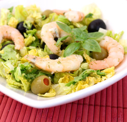 Frischer Salat
