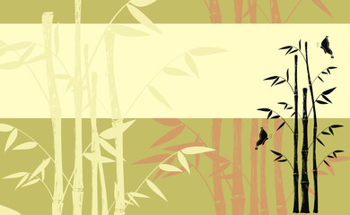 Fototapeta na wymiar bamboo background04