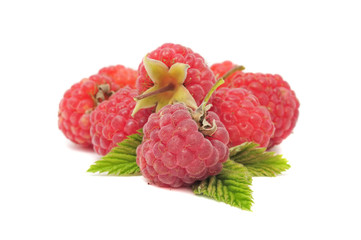 Red Raspberries with Green Leaf