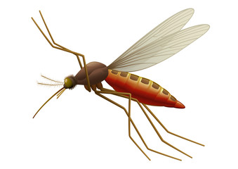 Vector Mosquito - Insect. Full compatible - gradients.