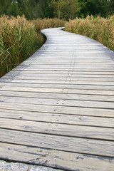 Obraz premium Path in hiking trail in Hong Kong