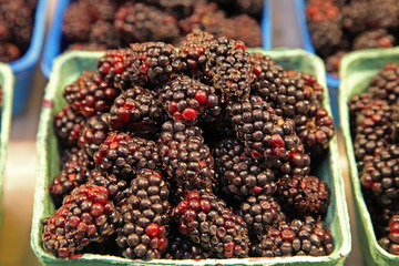 Blackberries in baskets in a farmers' market