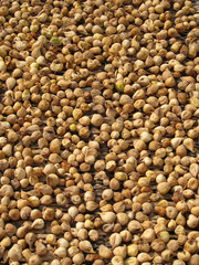 getrocknete_Feigen_10