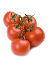 tomato on white background