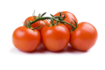 tomato