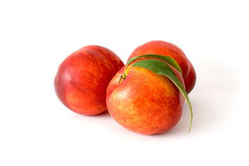 Nectarines