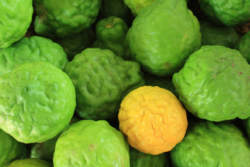 Kaffir limes