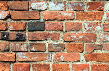 Fototapeta premium red brick wall