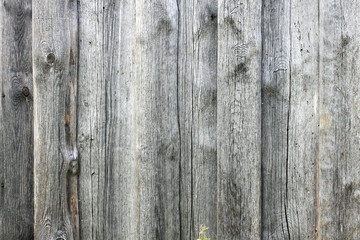 old timber plank