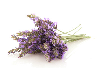 Bouquet Lavender