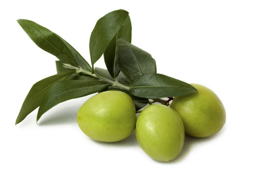 Antipasti - olives isolated