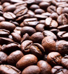 coffee beans