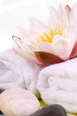 wellness und massage