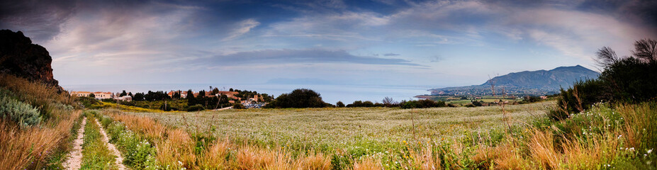 Fresh field panoramic view