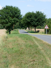 Obraz premium Route tranquille