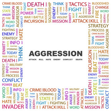 AGGRESSION. Square frame with association terms.