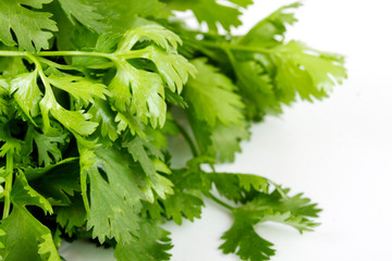 Tomato and cucumber with  coriandr